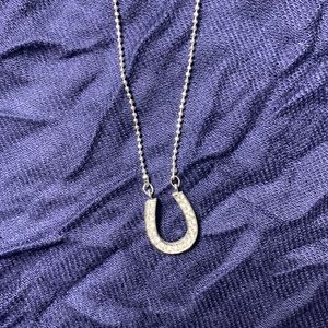 Rhinestone Horseshoe Necklace